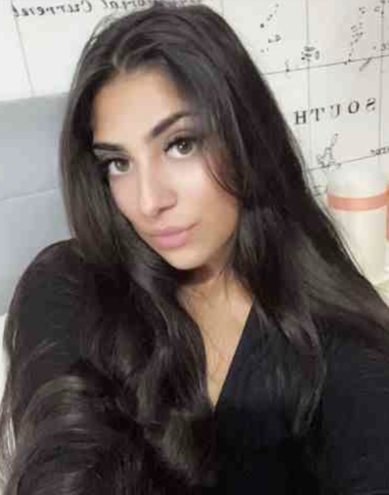 utisci putnika viz travel